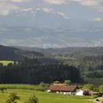 Metzler