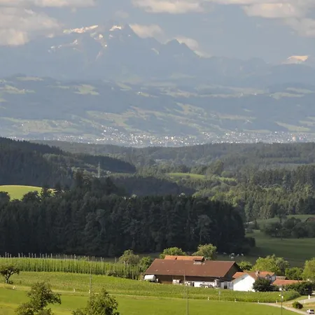 Metzler